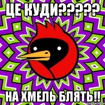 ЦЕ КУДИ????? НА ХМЕЛЬ БЛЯТЬ!!, Мем Омская птица