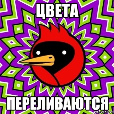 ЦВЕТА ПЕРЕЛИВАЮТСЯ, Мем Омская птица