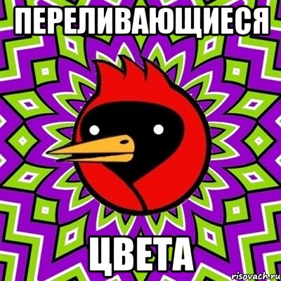 ПЕРЕЛИВАЮЩИЕСЯ ЦВЕТА, Мем Омская птица