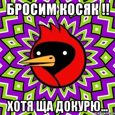 бросим косяк !! хотя ща докурю..., Мем Омская птица