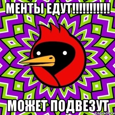 Менты едут!!!!!!!!!!! Может подвезут, Мем Омская птица