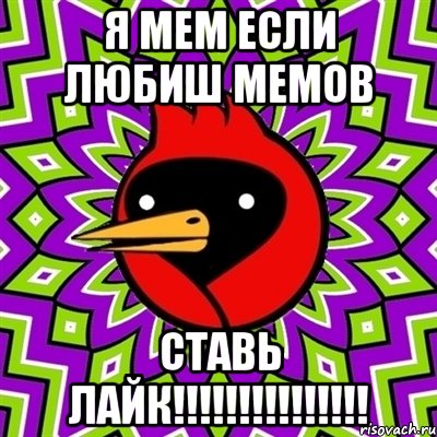 Я МЕМ ЕСЛИ ЛЮБИШ МЕМОВ СТАВЬ ЛАЙК!!!!!!!!!!!!!!!, Мем Омская птица