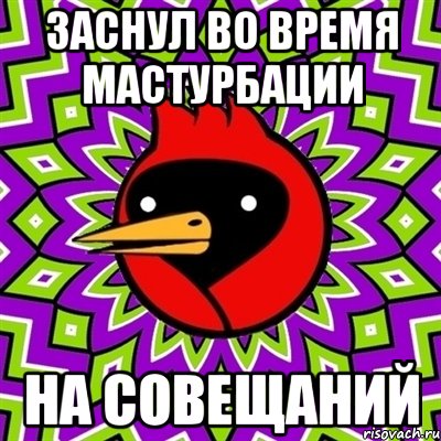 заснул во время мастурбации на совещаний, Мем Омская птица