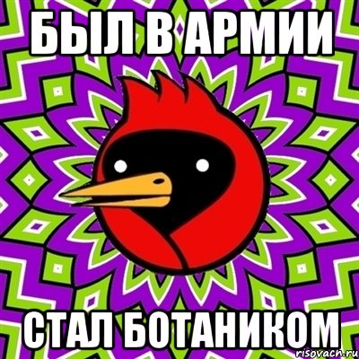 был в армии стал ботаником, Мем Омская птица