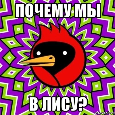почему мы в лису?, Мем Омская птица