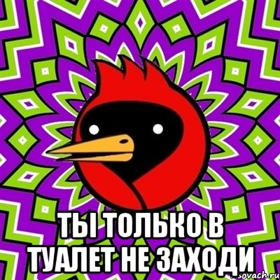  ты только в туалет не заходи, Мем Омская птица