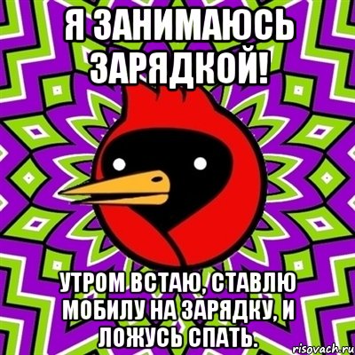 Я занимаюсь зарядкой! Утром встаю, ставлю мобилу на зарядку, и ложусь спать., Мем Омская птица