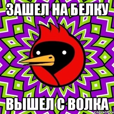 зашел на белку вышел с волка, Мем Омская птица