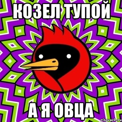 козел тупой а я овца, Мем Омская птица