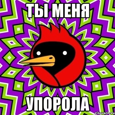Ты меня УПОРОЛа, Мем Омская птица