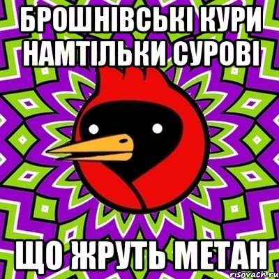 Брошнівські кури намтільки сурові що жруть метан, Мем Омская птица
