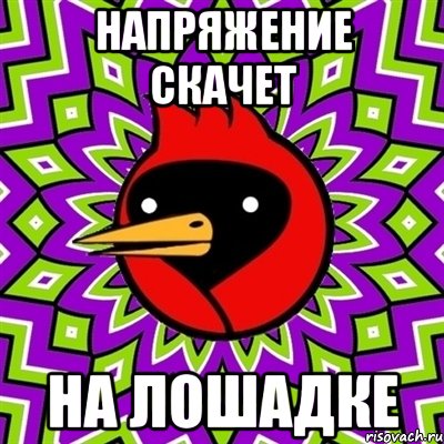 Напряжение скачет На лошадке, Мем Омская птица