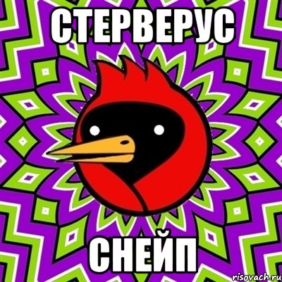 Стерверус Снейп, Мем Омская птица