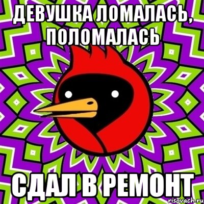 Девушка ломалась, поломалась сдал в ремонт, Мем Омская птица