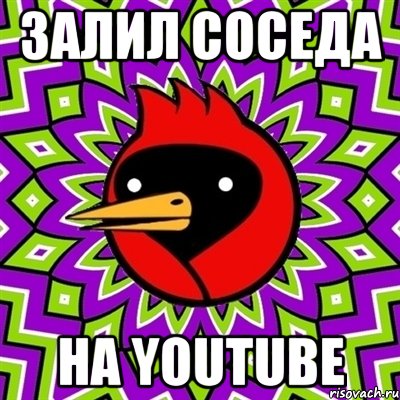 Залил соседа на youtube, Мем Омская птица