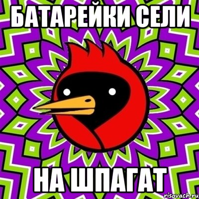 БАТАРЕЙКИ СЕЛИ НА ШПАГАТ, Мем Омская птица