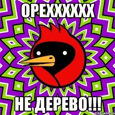 ОРЕХХХХХХ НЕ ДЕРЕВО!!!, Мем Омская птица