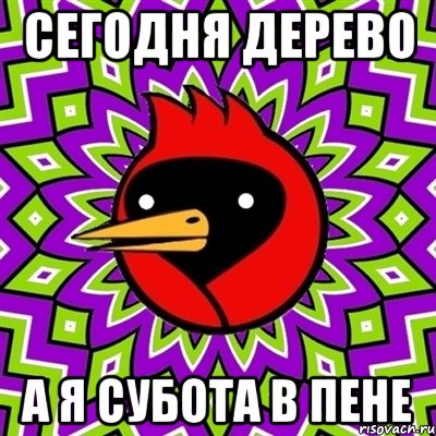 Сегодня дерево А я Субота в Пене, Мем Омская птица