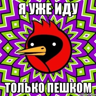 я уже иду только пешком, Мем Омская птица