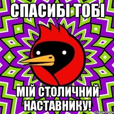 Спасибі тобі мій столичний наставнику!, Мем Омская птица