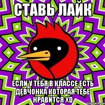 Ставь лайк если у тебя в классе есть девчонка которая тебе нравится xD, Мем Омская птица