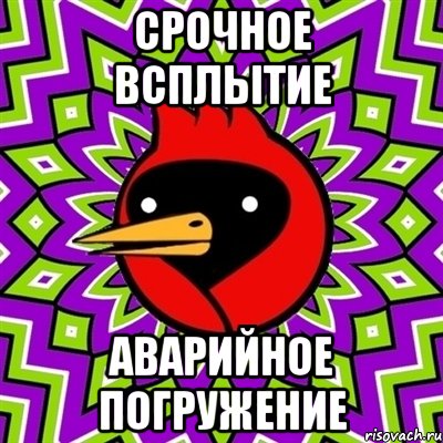СРОЧНОЕ ВСПЛЫТИЕ АВАРИЙНОЕ ПОГРУЖЕНИЕ, Мем Омская птица