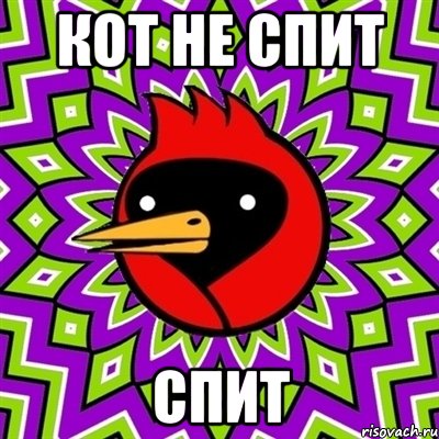 Кот не спит Спит, Мем Омская птица