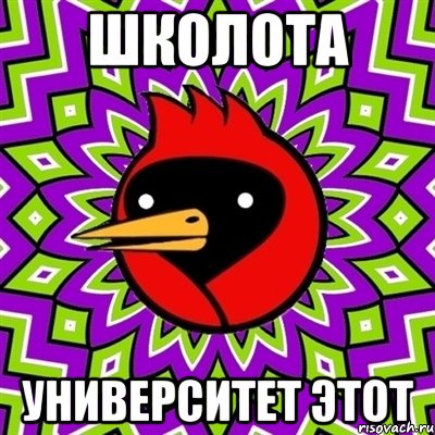 Школота Университет этот, Мем Омская птица