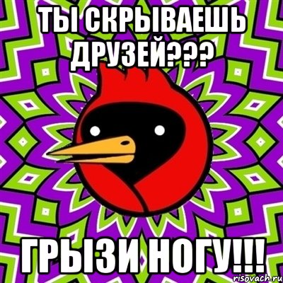 ты скрываешь друзей??? грызи ногу!!!, Мем Омская птица