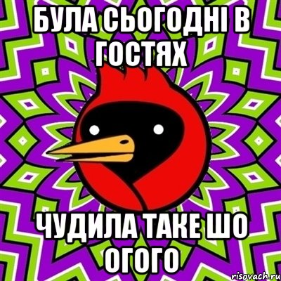 була сьогодні в гостях чудила таке шо огого, Мем Омская птица