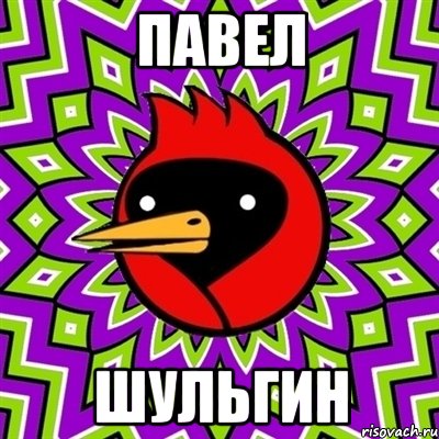 Павел Шульгин, Мем Омская птица