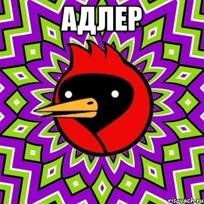 Адлер , Мем Омская птица