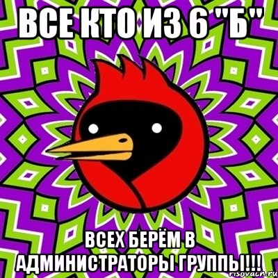 все кто из 6 "Б" всех берём в администраторы группы!!!, Мем Омская птица