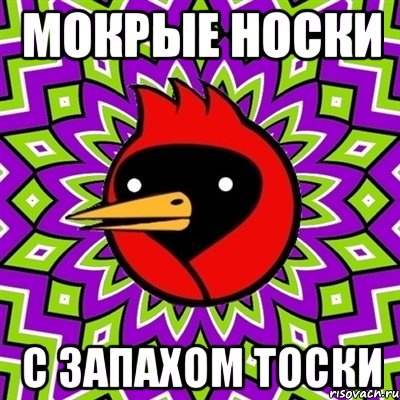 мокрые носки с запахом тоски, Мем Омская птица