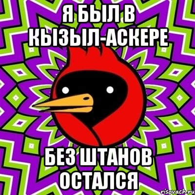 Я был в кызыл-аскере без штанов остался, Мем Омская птица