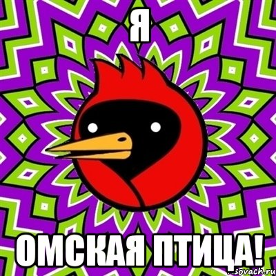Я омская птица!, Мем Омская птица