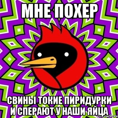 мне похер свины токие пиридурки и сперают у наши яйца, Мем Омская птица