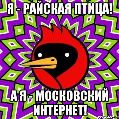 Я - Райская птица! А я - Московский Интернет!, Мем Омская птица