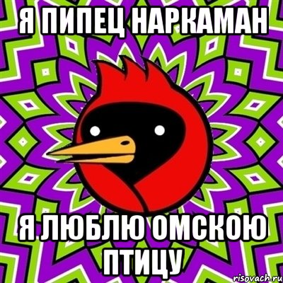 Я ПИПЕЦ НАРКАМАН Я ЛЮБЛЮ ОМСКОЮ ПТИЦУ, Мем Омская птица