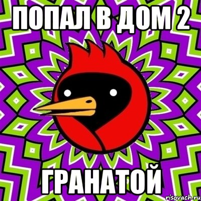 попал в дом 2 ГРАНАТОЙ, Мем Омская птица