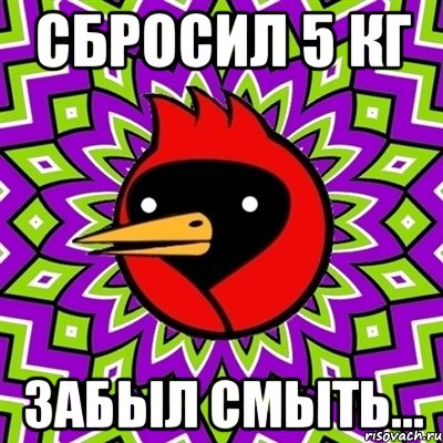 сбросил 5 кг забыл смыть..., Мем Омская птица