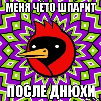 меня чёто шпарит после днюхи, Мем Омская птица