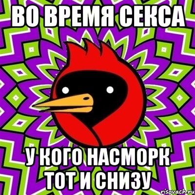 ВО ВРЕМЯ СЕКСА У КОГО НАСМОРК ТОТ И СНИЗУ, Мем Омская птица