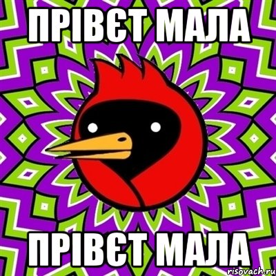 прівєт мала прівєт мала, Мем Омская птица