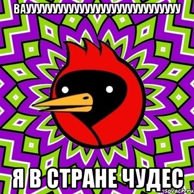 ваууууууууууууууууууууууууууууу я в стране чудес, Мем Омская птица