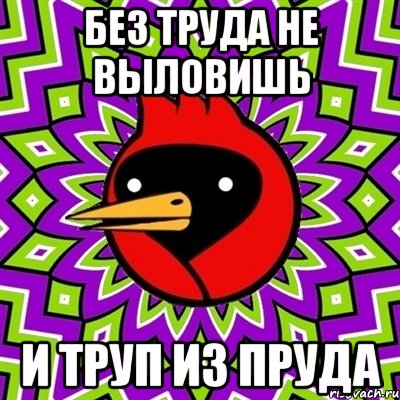 БЕЗ ТРУДА НЕ ВЫЛОВИШЬ И ТРУП ИЗ ПРУДА, Мем Омская птица