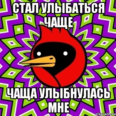 СТАЛ УЛЫБАТЬСЯ ЧАЩЕ ЧАЩА УЛЫБНУЛАСЬ МНЕ, Мем Омская птица