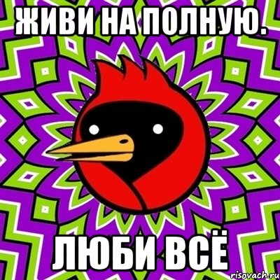 Живи на полную. люби всё, Мем Омская птица