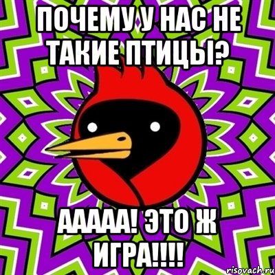 Почему у нас не такие птицы? ААААА! Это ж игра!!!!, Мем Омская птица