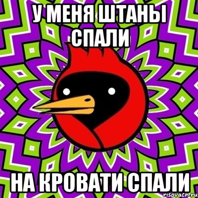 У меня штаны спали На кровати спали, Мем Омская птица
